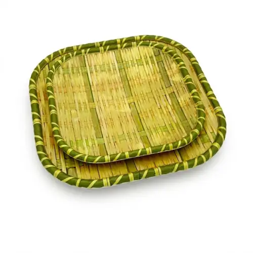 Assiette Carre en Mélamine Vert 25 cm